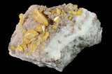 Orange Wulfenite Crystal Cluster - La Morita Mine, Mexico #170307-1